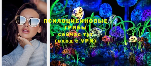 ECSTASY Новодвинск