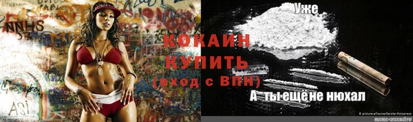 соль ск Новозыбков